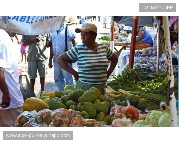 圣卢西亚体育产业逐步多元化，圣卢西亚生活真实状况