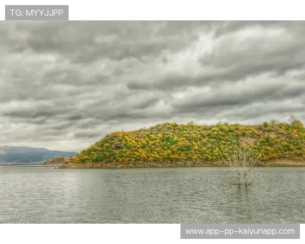 高原主场优势成焦点热议话题,高原区域