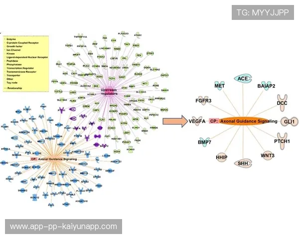 职业俱乐部的精细化管理模式构建思路